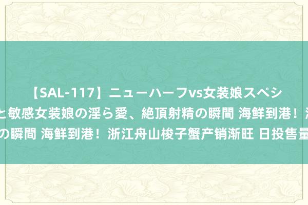 【SAL-117】ニューハーフvs女装娘スペシャル 猥褻ニューハーフと敏感女装娘の淫ら愛、絶頂射精の瞬間 海鲜到港！浙江舟山梭子蟹产销渐旺 日投售量近千吨