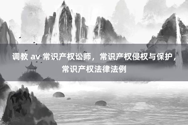 调教 av 常识产权讼师，常识产权侵权与保护，常识产权法律法例